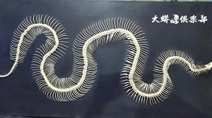 DfХ