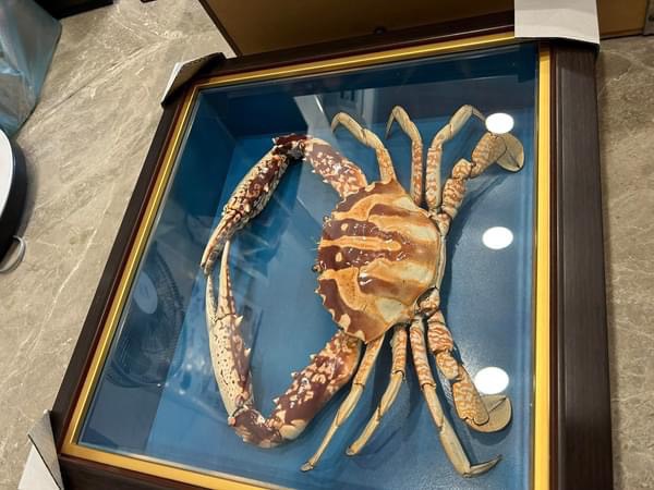 蝦蟹標本製作作品