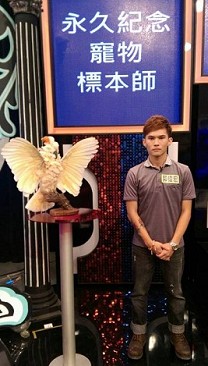 寵物標本製作完成作品